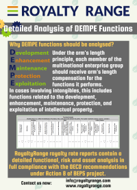 Detailed analysis of DEMPE functions