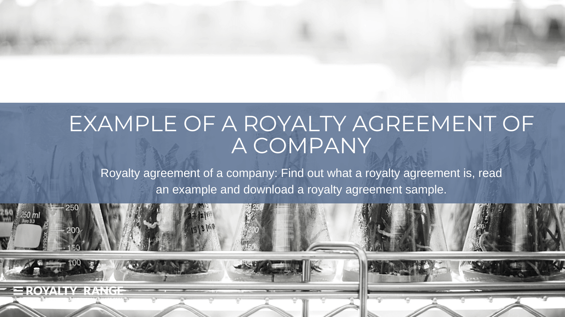 Example of a royalty agreement of a company